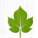 Ikona listu symbolizující podporu při onemocněních.